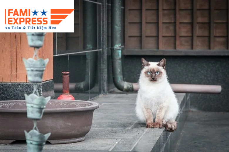 Những điều bạn cần biết khi đến Nhật - Yêu mèo