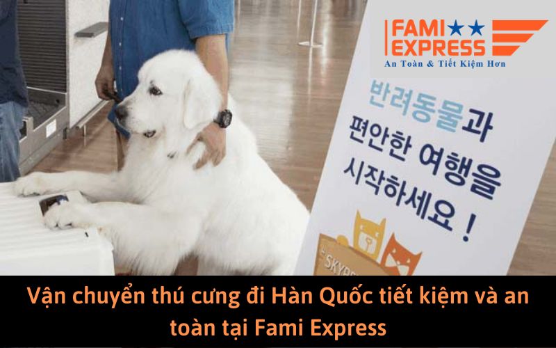 Dịch vụ vận chuyển thú cưng đi Hàn Quốc FAMI EXPRESS