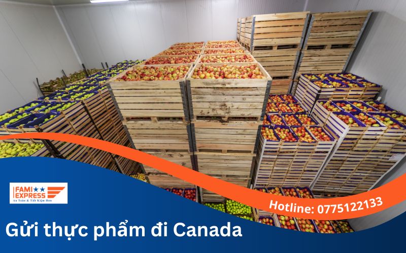 Hướng dẫn gửi thực phẩm đi Canada an toàn, giá rẻ