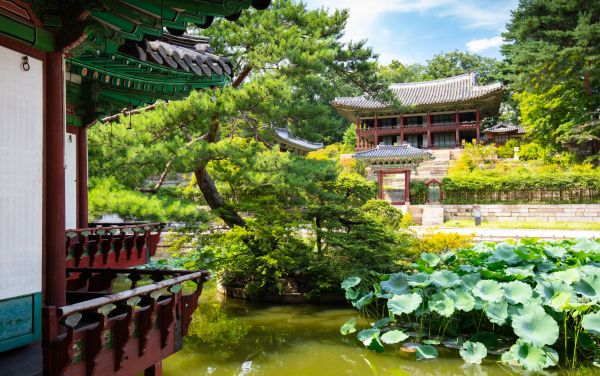 Cung điện Changdeokgung là một trong những địa điểm du lịch Hàn Quốc nổi tiếng